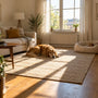 Chien d'appartement qui n'aboie pas : races et conseils