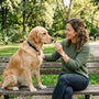 Comment socialiser un chien adulte étape par étape - La classe des quatre pattes