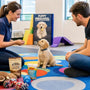 Cours de maternelle pour chiots : socialisation et éducation - La classe des quatre pattes
