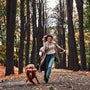 Le Leadership en laisse : Comment Promener Votre Chien en Toute Sérénité - La classe des quatre pattes