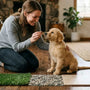 Règle des 7-7-7 pour les chiots : règles à connaître pour la socialisation - La classe des quatre pattes