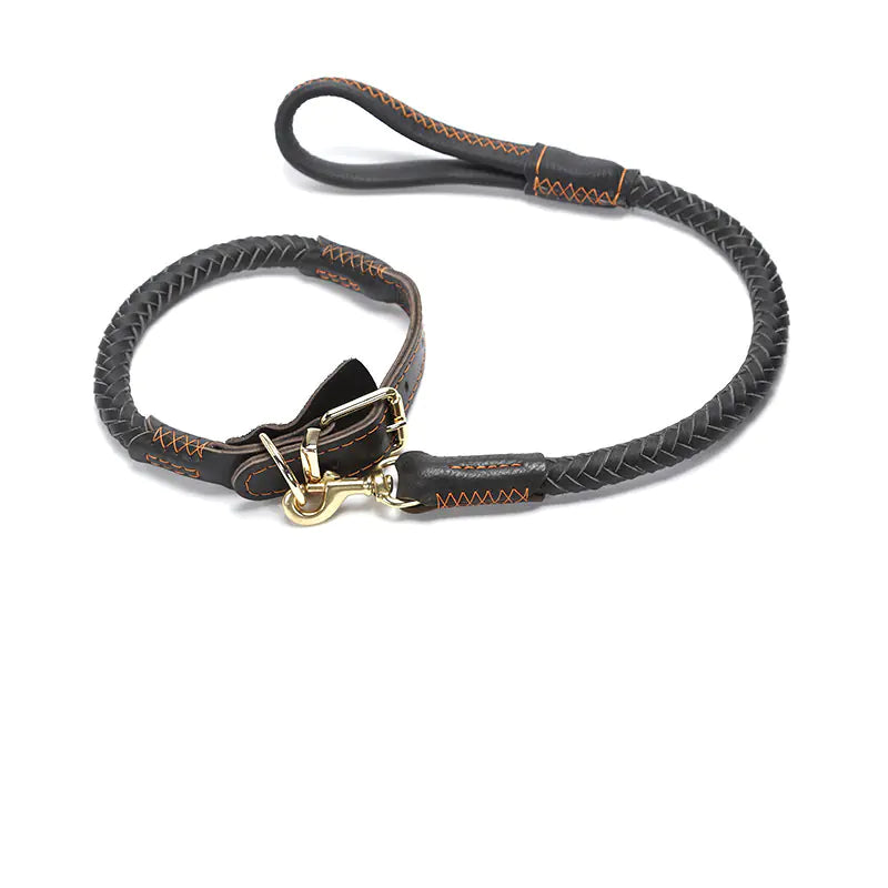 🐾 Laisse en cuir pour chien – Premium, résistante & élégante (S à XL)  La laisse idéale pour les chiens moyens et grands | Option collier assorti
