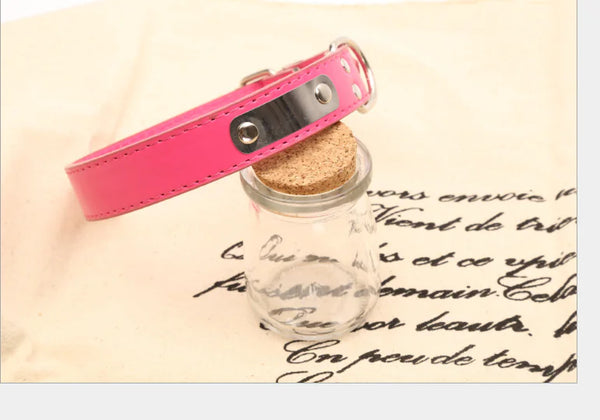 Collier réglable pour chien – Confort, style et solidité