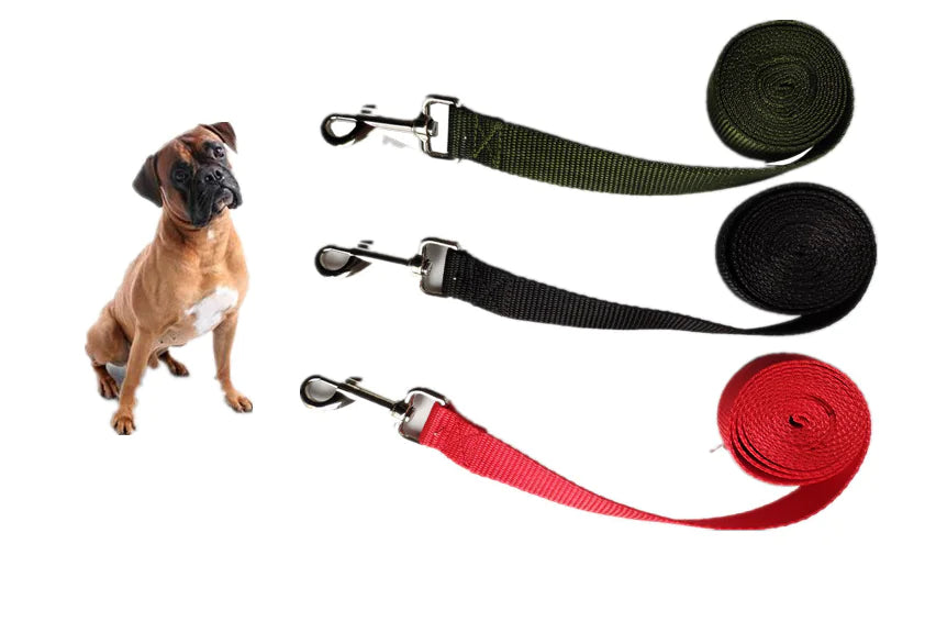 🐾 Longe d’Éducation Canine – 2,5 cm – De 3 m à 50 m  L’outil indispensable pour des promenades éducatives sûres et efficaces