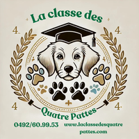 La classe des quatre pattes