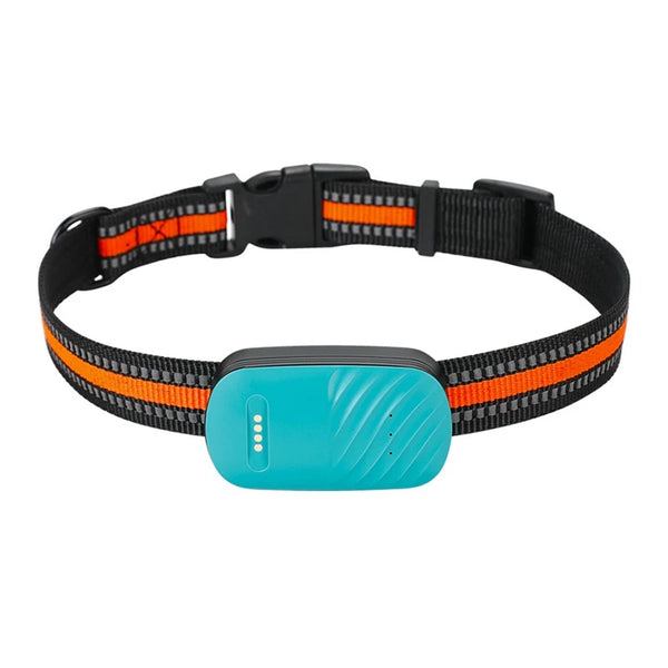 🐶 Traceur GPS 4G pour chien – Sécurité et liberté réunies !
