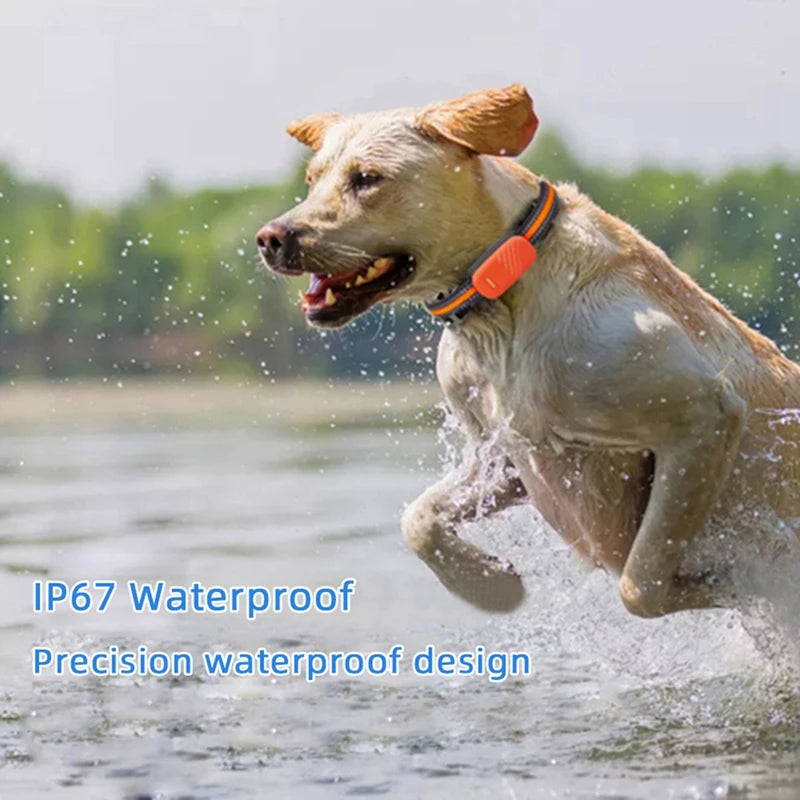 🐶 Traceur GPS 4G pour chien – Sécurité et liberté réunies !