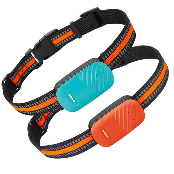 🐶 Traceur GPS 4G pour chien – Sécurité et liberté réunies !
