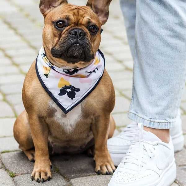 🐶 Bandana Personnalisable pour Chien – Le petit détail qui fait toute la différence ! - S La classe des quatre pattes |