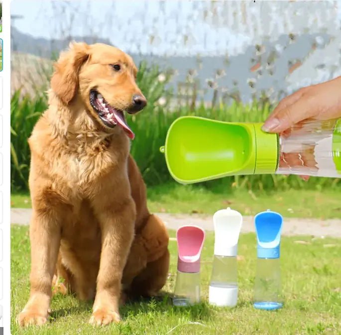 Bouteille d'Eau 2 - en - 1 : L'Indispensable des Aventuriers - Blanc 510ml La classe des quatre pattes | Accessoires de Balade