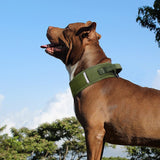Camouflage Nylon Horse and Dog Collar - Black La classe des quatre pattes |