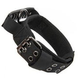 Camouflage Nylon Horse and Dog Collar - New Black La classe des quatre pattes |