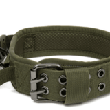 Camouflage Nylon Horse and Dog Collar - New Green La classe des quatre pattes |