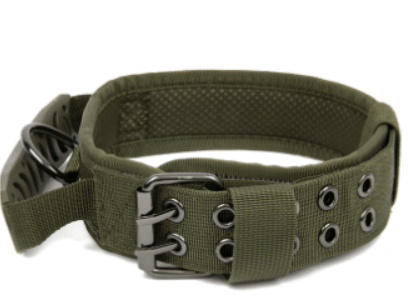 Camouflage Nylon Horse and Dog Collar - New Green La classe des quatre pattes |