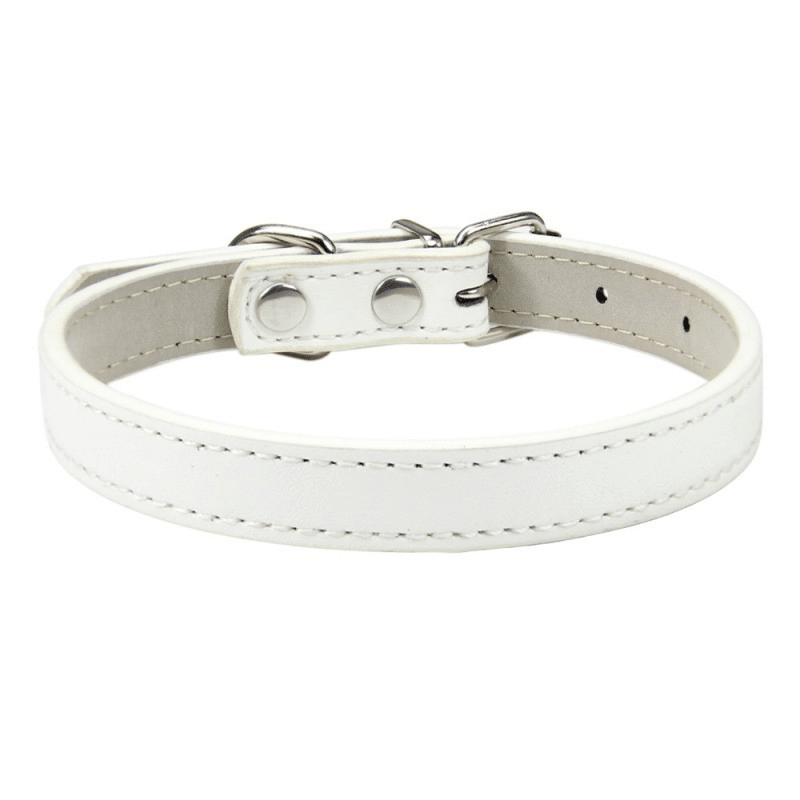 Collier Expert "Poids Plume" – Spécial Petites Races (Yorkshire, Chihuahua, Chiot) - Blanc La classe des quatre pattes |