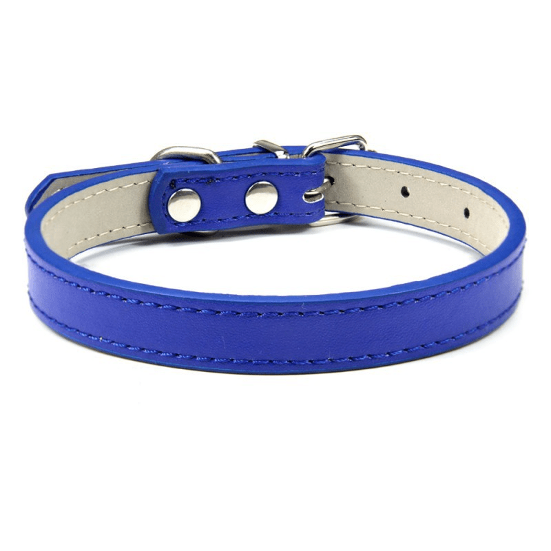 Collier Expert "Poids Plume" – Spécial Petites Races (Yorkshire, Chihuahua, Chiot) - Bleu royal La classe des quatre pattes |