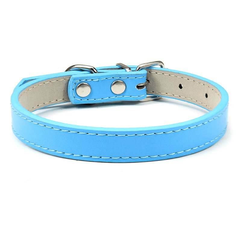 Collier Expert "Poids Plume" – Spécial Petites Races (Yorkshire, Chihuahua, Chiot) - Bleu La classe des quatre pattes |