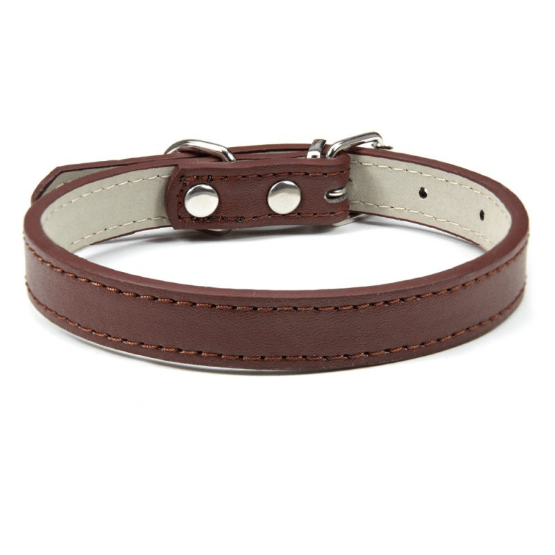 Collier Expert "Poids Plume" – Spécial Petites Races (Yorkshire, Chihuahua, Chiot) - Caffé La classe des quatre pattes |