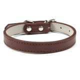 Collier Expert 