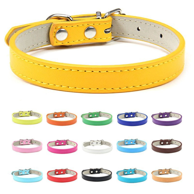 Collier Expert "Poids Plume" – Spécial Petites Races (Yorkshire, Chihuahua, Chiot) - Caffé La classe des quatre pattes |
