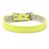 Collier Expert 