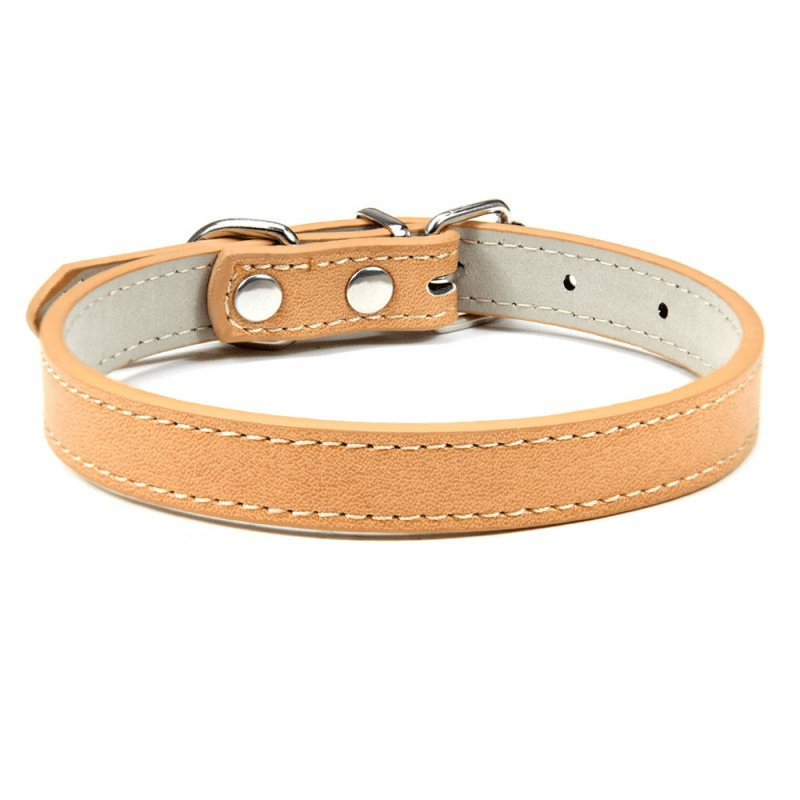 Collier Expert "Poids Plume" – Spécial Petites Races (Yorkshire, Chihuahua, Chiot) - Khaki La classe des quatre pattes |