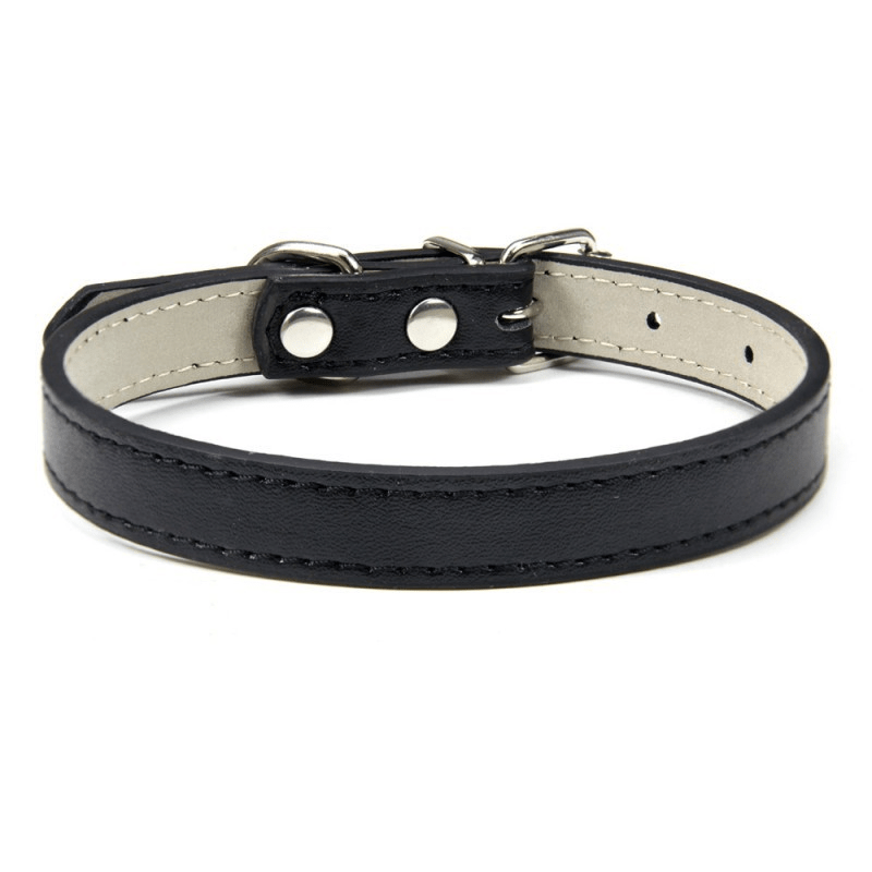 Collier Expert "Poids Plume" – Spécial Petites Races (Yorkshire, Chihuahua, Chiot) - Noir La classe des quatre pattes |
