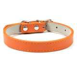 Collier Expert 