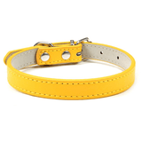 Collier Expert 