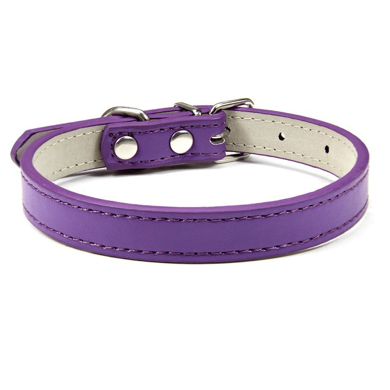 Collier Expert "Poids Plume" – Spécial Petites Races (Yorkshire, Chihuahua, Chiot) - Pourpre La classe des quatre pattes |