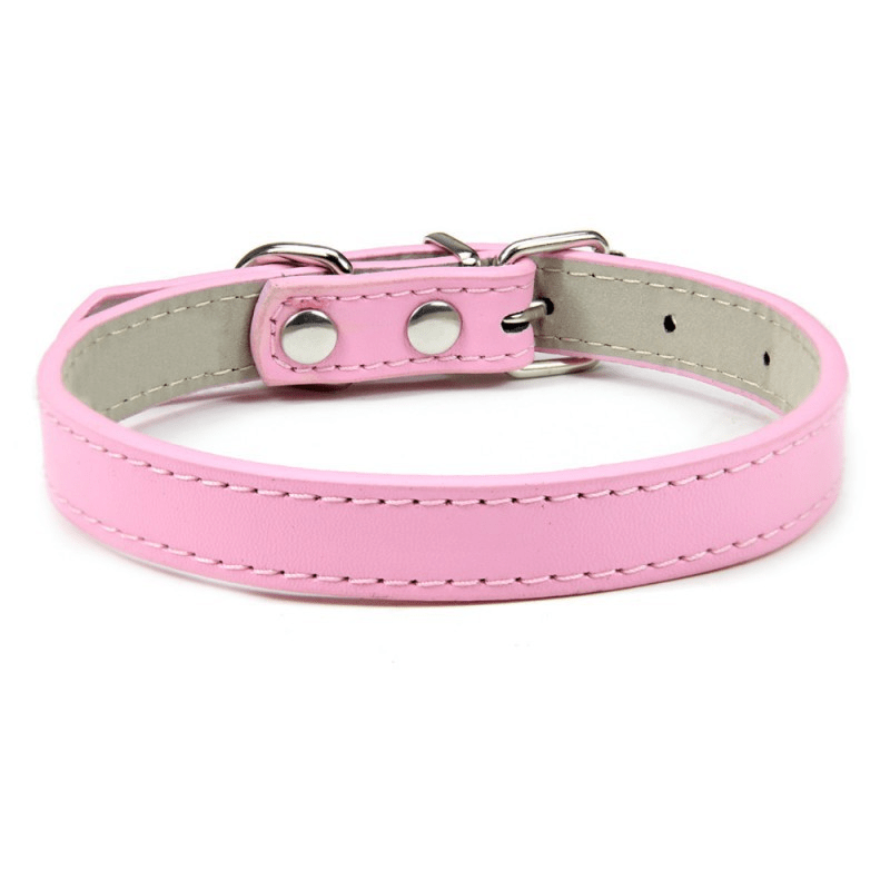 Collier Expert "Poids Plume" – Spécial Petites Races (Yorkshire, Chihuahua, Chiot) - Rose La classe des quatre pattes |