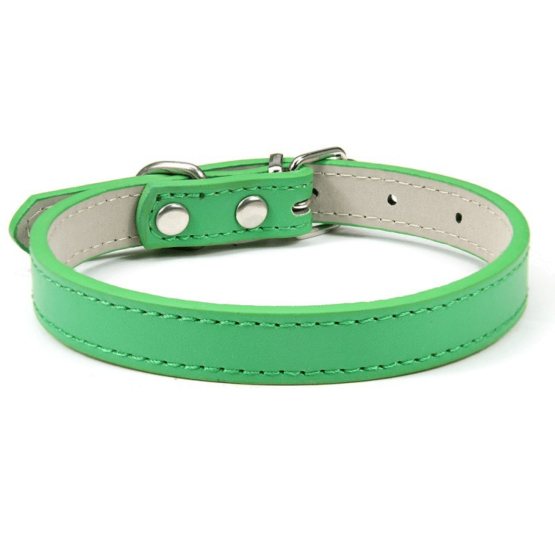 Collier Expert "Poids Plume" – Spécial Petites Races (Yorkshire, Chihuahua, Chiot) - Vert La classe des quatre pattes |