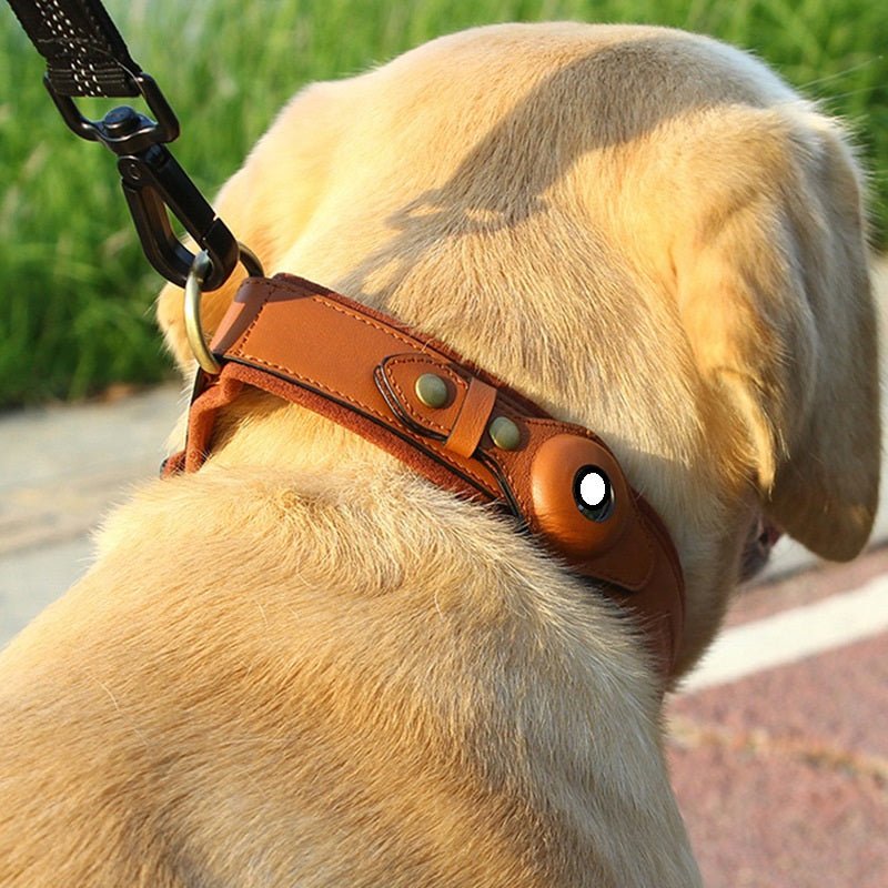 Collier GPS pour chien en cuir: sécurité et élégance - Brun La classe des quatre pattes |