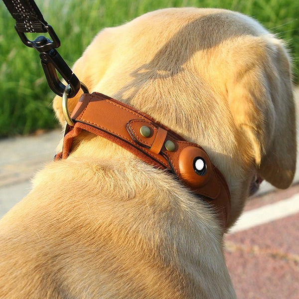 Collier GPS pour chien en cuir: sécurité et élégance - Brun La classe des quatre pattes |