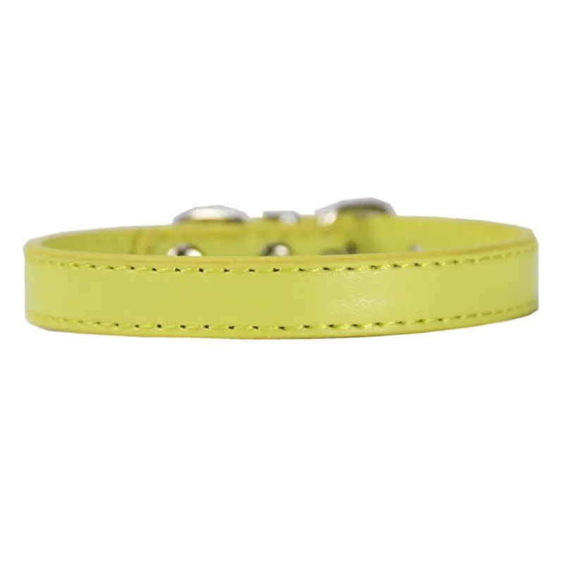 Collier pour Grand Chien - Jaune La classe des quatre pattes |