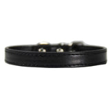 Collier pour Grand Chien - Noir La classe des quatre pattes |