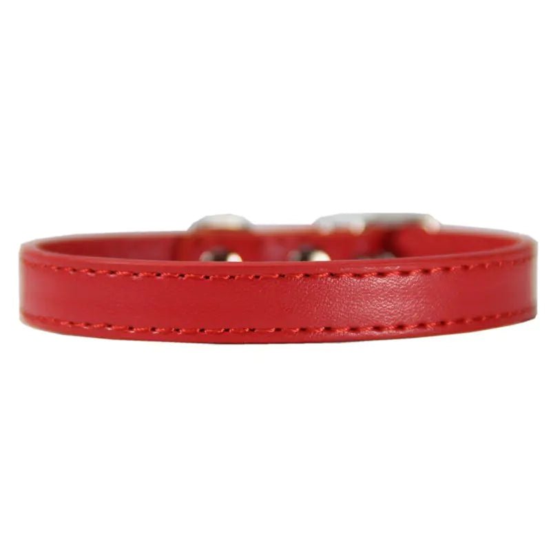 Collier pour Grand Chien - Rouge La classe des quatre pattes |