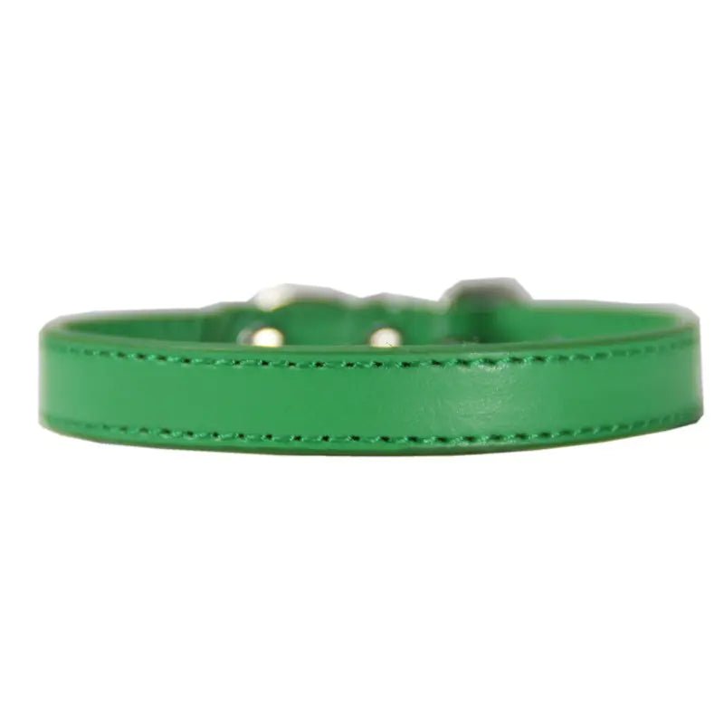 Collier pour Grand Chien - Vert La classe des quatre pattes |
