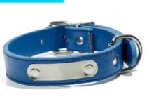 Collier réglable pour chien – Confort, style et solidité - Bleu La classe des quatre pattes |