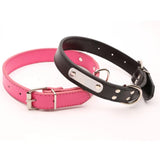 Collier réglable pour chien – Confort, style et solidité - Noir La classe des quatre pattes |