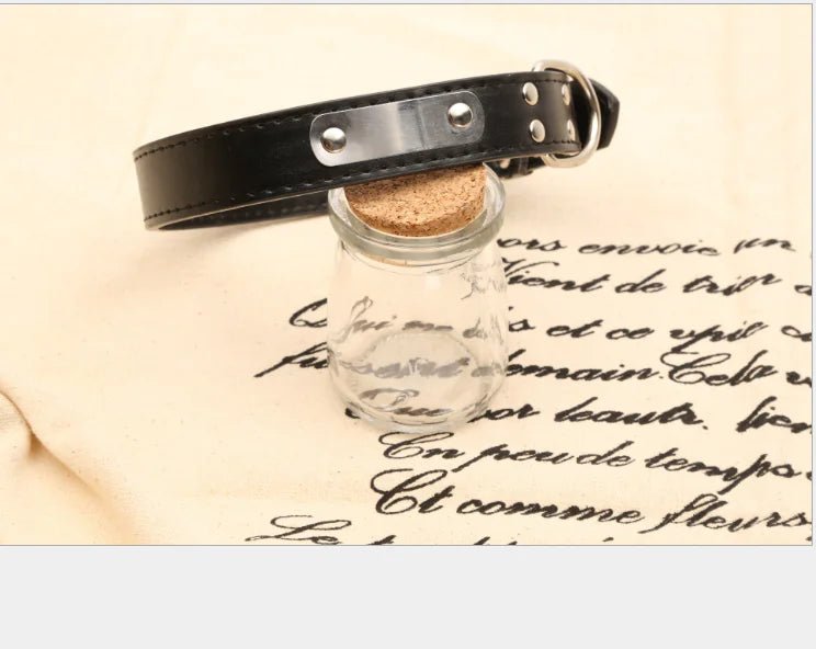 Collier réglable pour chien – Confort, style et solidité - Noir La classe des quatre pattes |