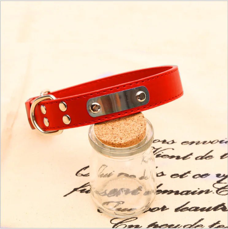 Collier réglable pour chien – Confort, style et solidité - Rouge La classe des quatre pattes |