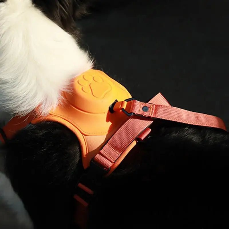 Dog Vest Harnesses Traction Lead For Puppy Portable Dog Harness For Traveling Puppy Vest Traction Lead For Outdoors - XL La classe des quatre pattes |
