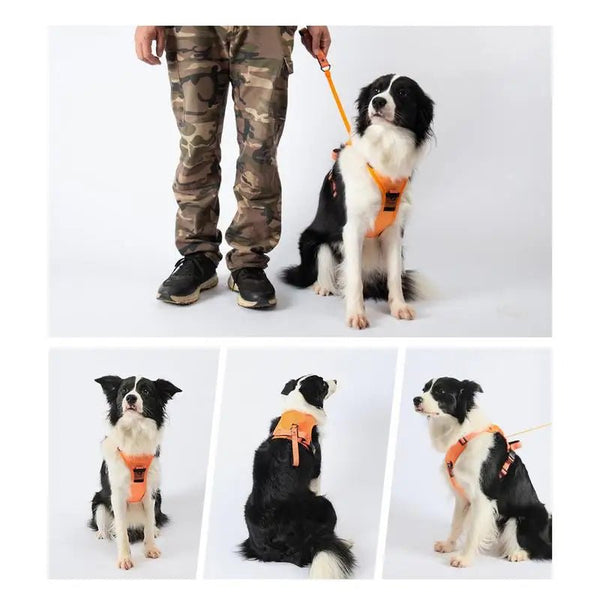 Dog Vest Harnesses Traction Lead For Puppy Portable Dog Harness For Traveling Puppy Vest Traction Lead For Outdoors - XL La classe des quatre pattes |