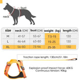 Dog Vest Harnesses Traction Lead For Puppy Portable Dog Harness For Traveling Puppy Vest Traction Lead For Outdoors - XL La classe des quatre pattes |