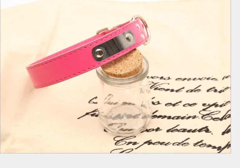 Collier réglable pour chien – Confort, style et solidité