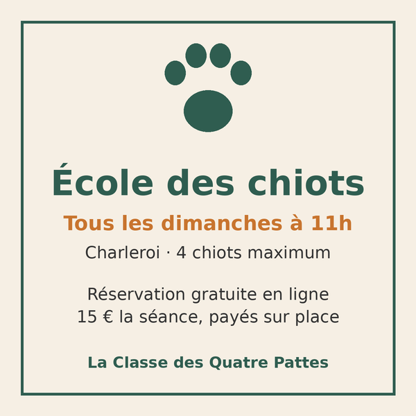 École des chiots – Réservez votre place (dimanche 11h, Charleroi)