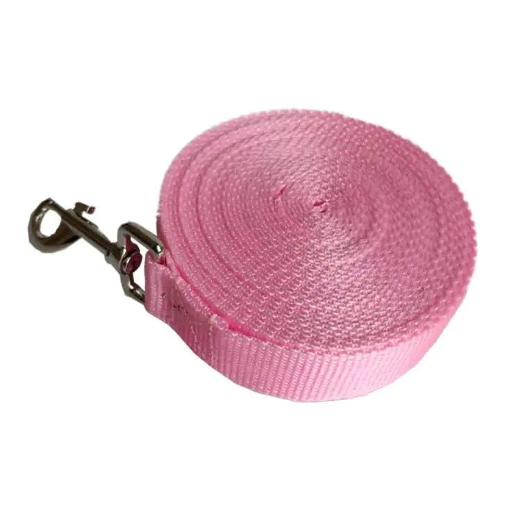 🐾 Longe d’Éducation Canine – 2,5 cm – De 3 m à 50 m  L’outil indispensable pour des promenades éducatives sûres et efficaces