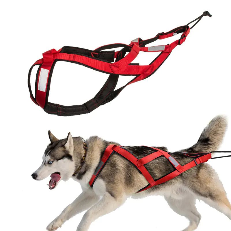 Harnais de Traction Pro "Liberté Totale" – Protection & Performance - Jaune / L La classe des quatre pattes | Harnais de Sport