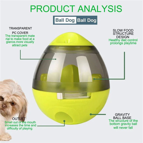 Interactive Cat Toy IQ Treat Ball Smarter Pet Toys Food Ball Food Dispenser For Cats Playing Training Balls Pet Supplies - C La classe des quatre pattes |